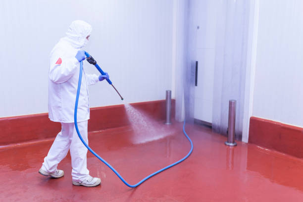 Best Parking Lot Cleaning in Manson, IA