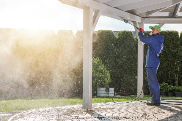 Best Roof Cleaning and Mildew Removal in Manson, IA